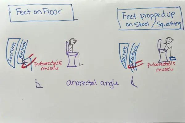 anorectal massage
