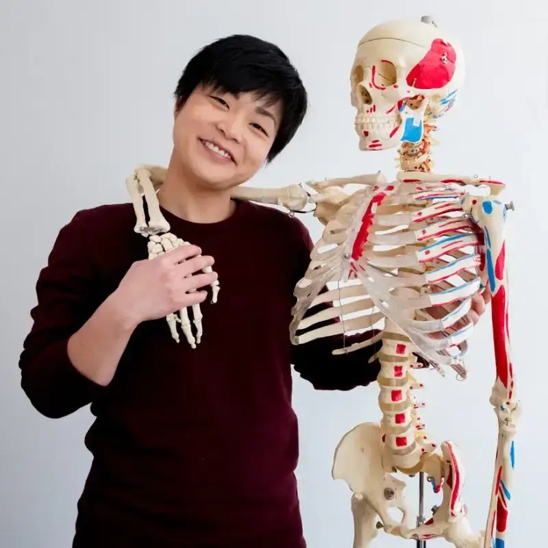 Pelvic health physiotherapist