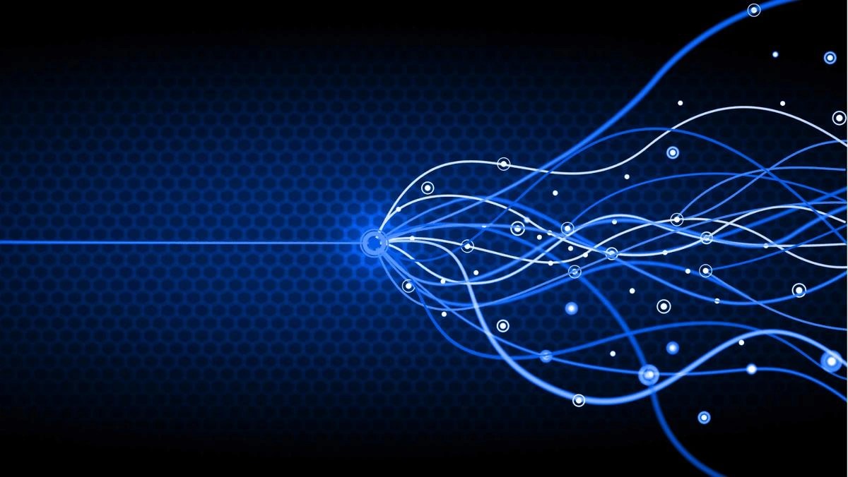 Software entitlement management automates the recovery and reallocation of unused software licenses