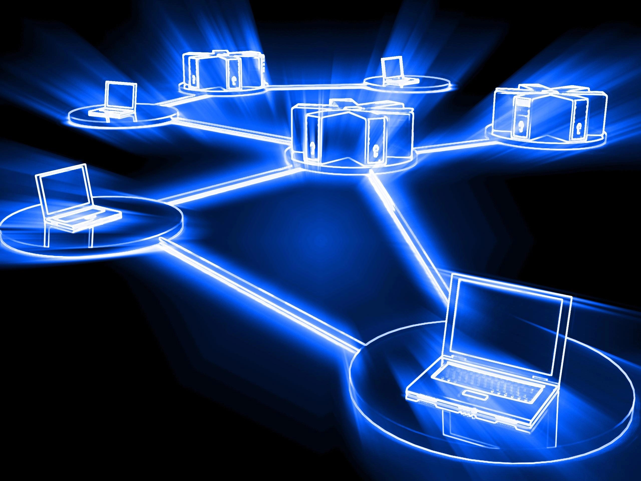 Software license management software identifies unused licenses for automated reclamation and reassignment