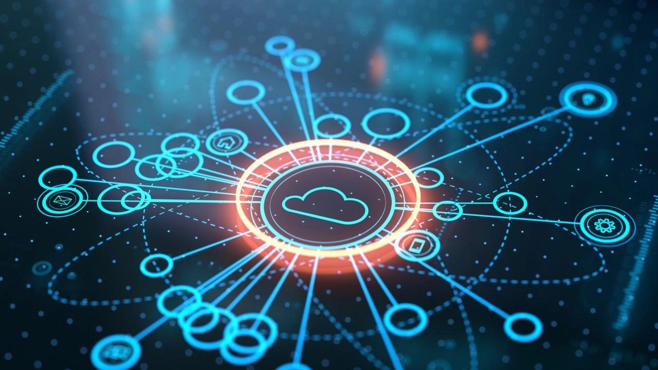 Software license optimization identifies duplicate applications and redundant entitlements across technology portfolios