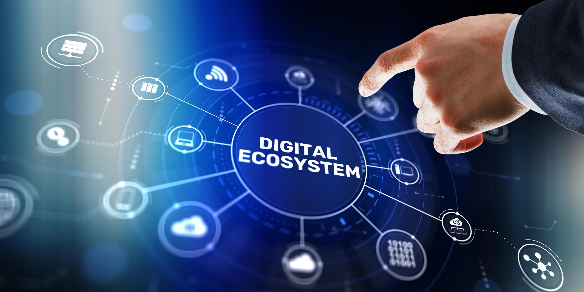 Software license optimization identifies unused and low-value software to reduce unnecessary licensing costs
