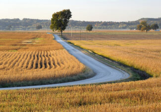 Country road through farmland, Midwest