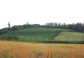 wisconsin agriculture