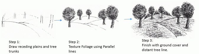 Pen and Ink tutorials : Trees