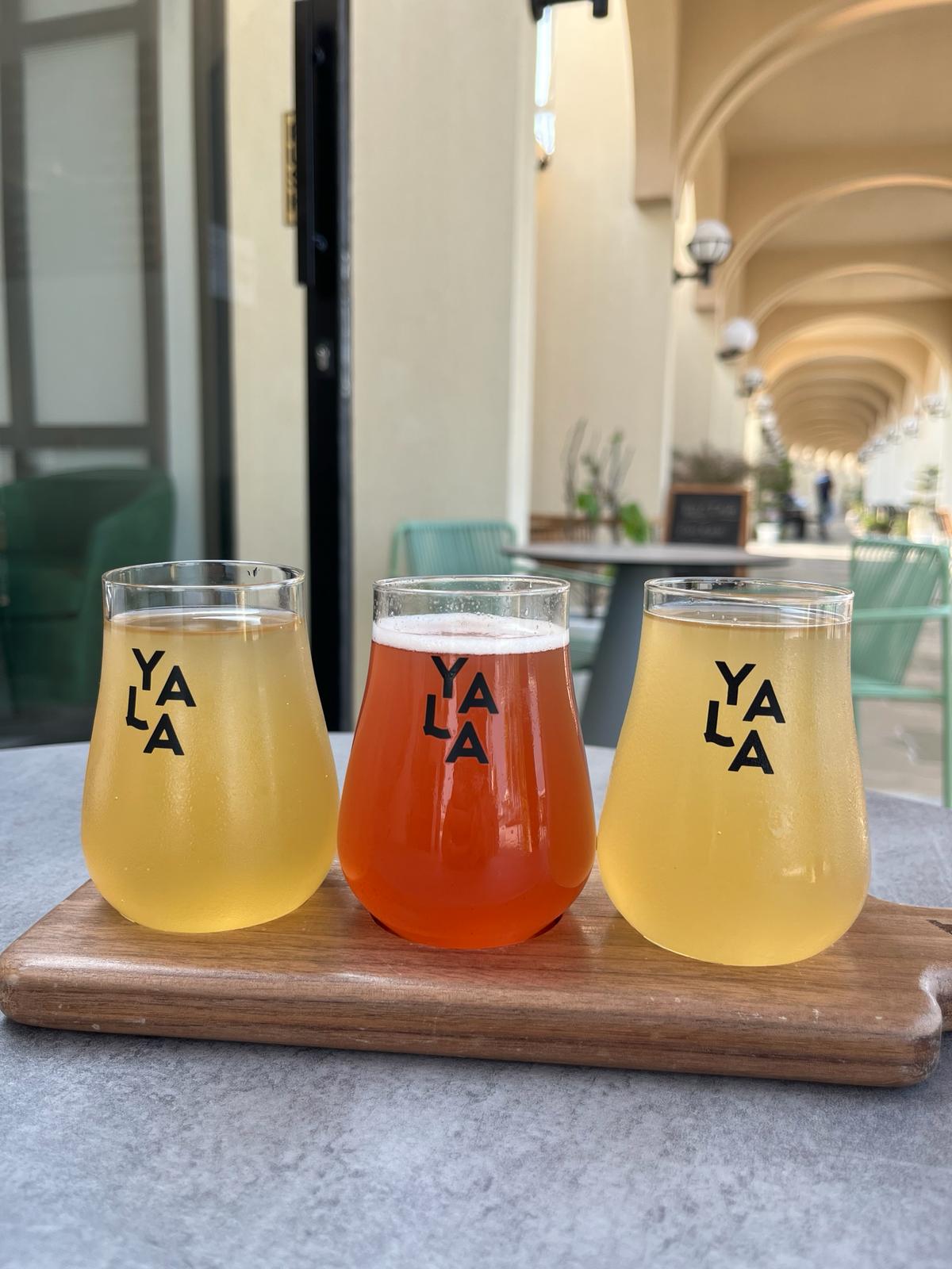 A flight of kombucha at Yala Abu Dhabi