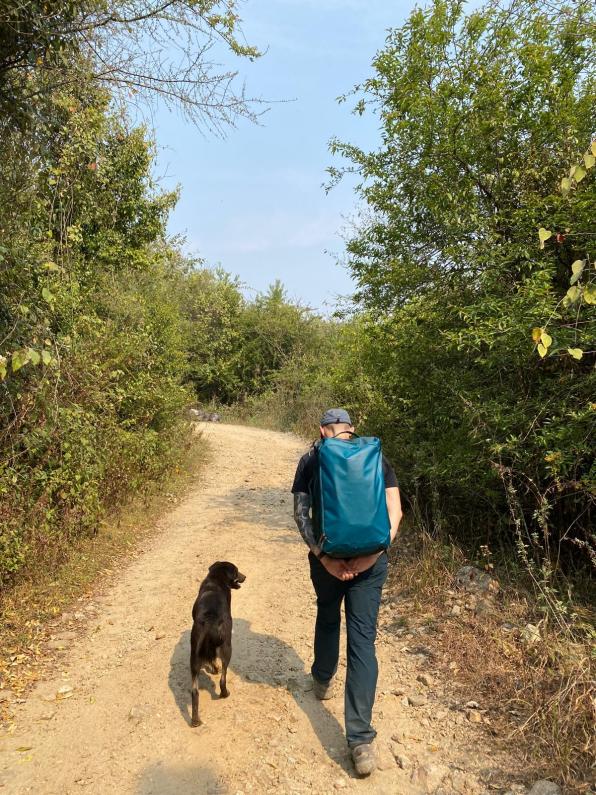 A man and a dog hiking on a dirt trail in Nepal