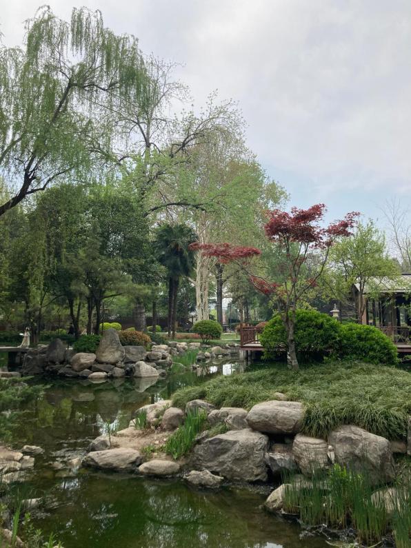 A traditional Chinese park with landscaping through a small stream with weeping willows