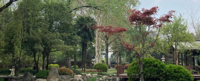 A traditional Chinese park with landscaping through a small stream with weeping willows
