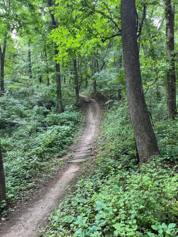 Sunderbruch Bikiing Path