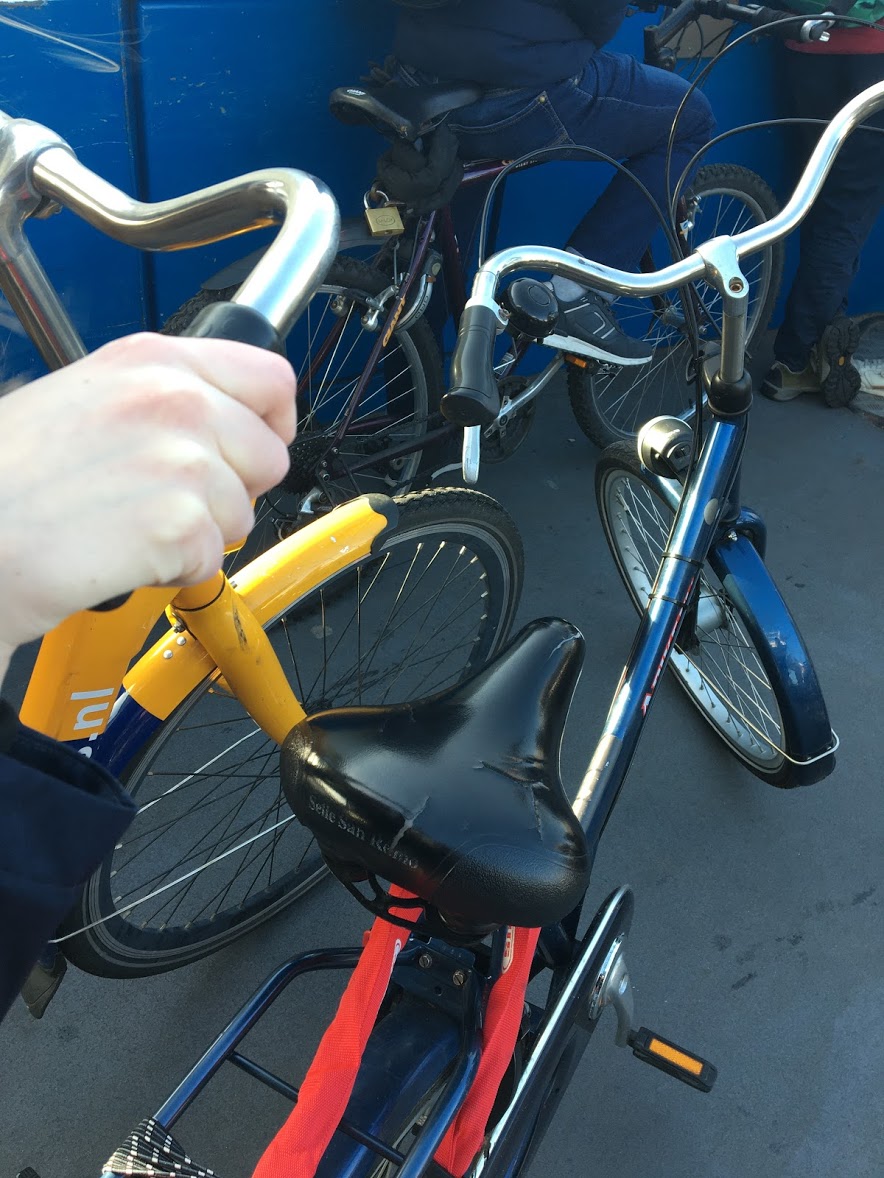 bike rented from A Bike Rental And Tours