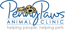 Veterinarian in richland hills, tx