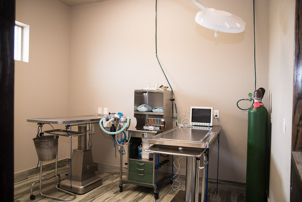 Arlington image gallery