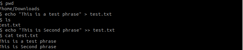 echo Command Linux