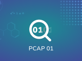Pcap 01 Exercise