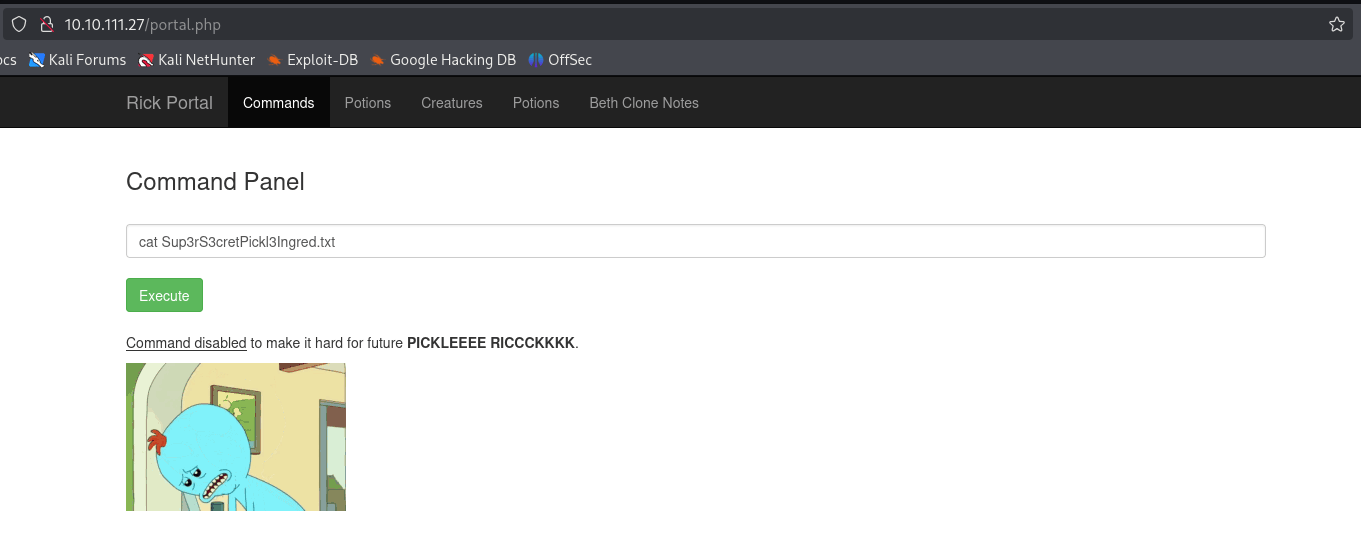 pickle-rick-tryhackme-denied