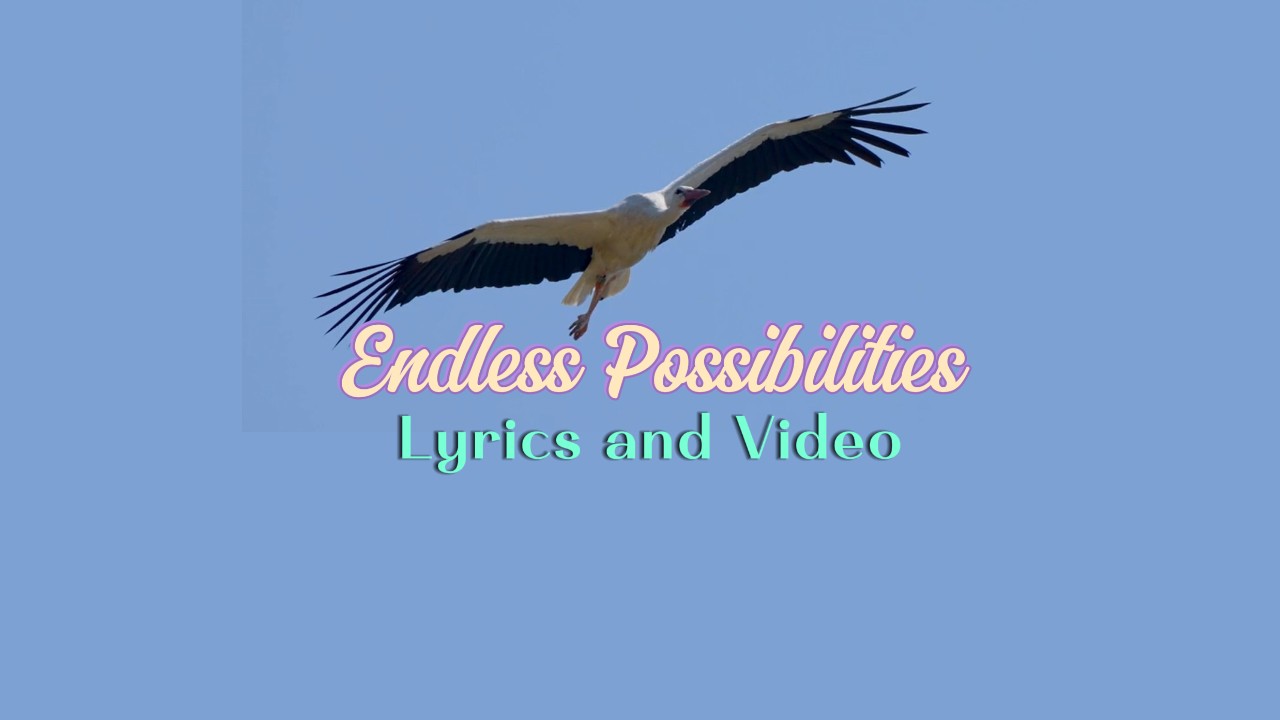 Endless Possibilities Lyrics and Video