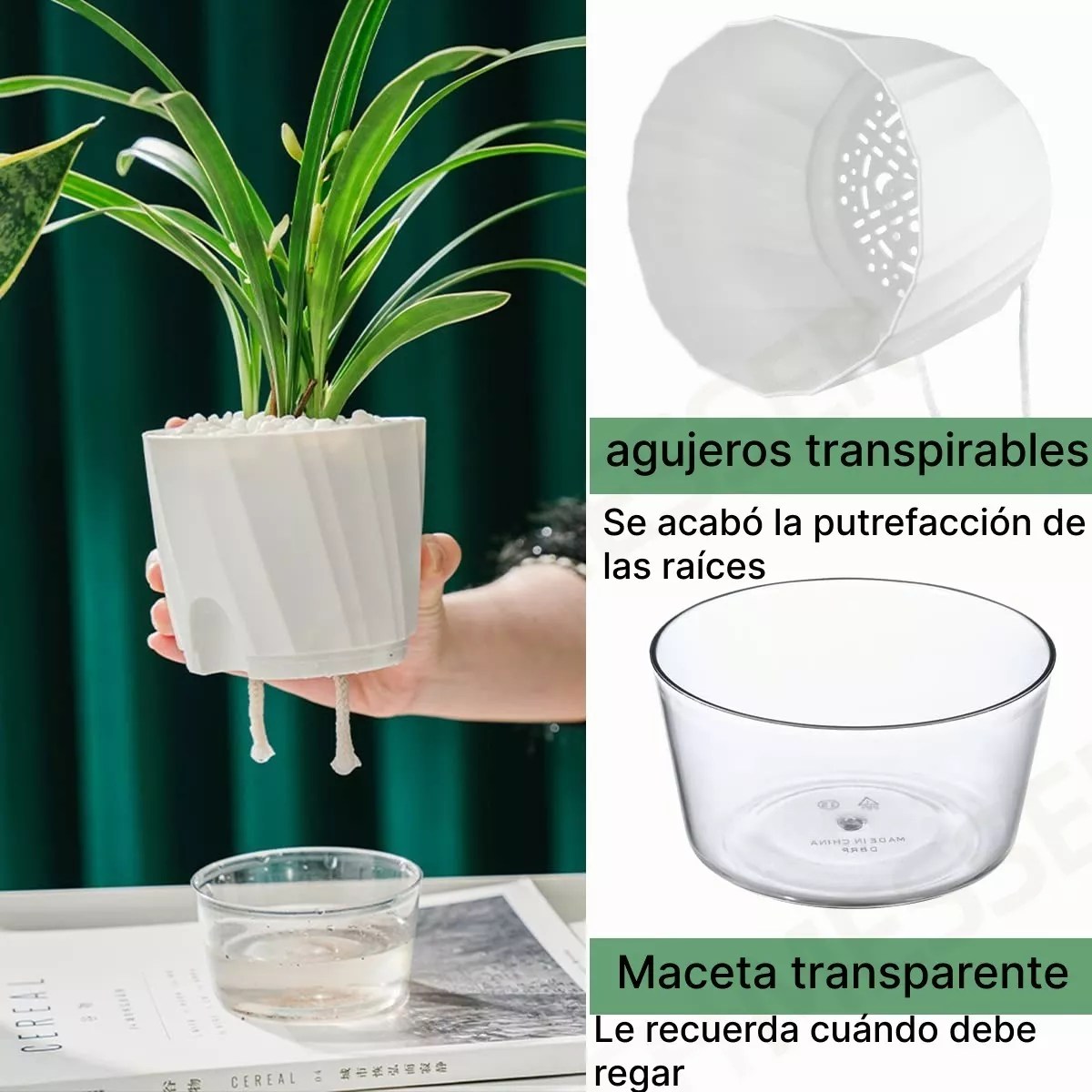 🌼 Macetas de Autorriego: Cultiva con Inteligencia y Estilo 🌺