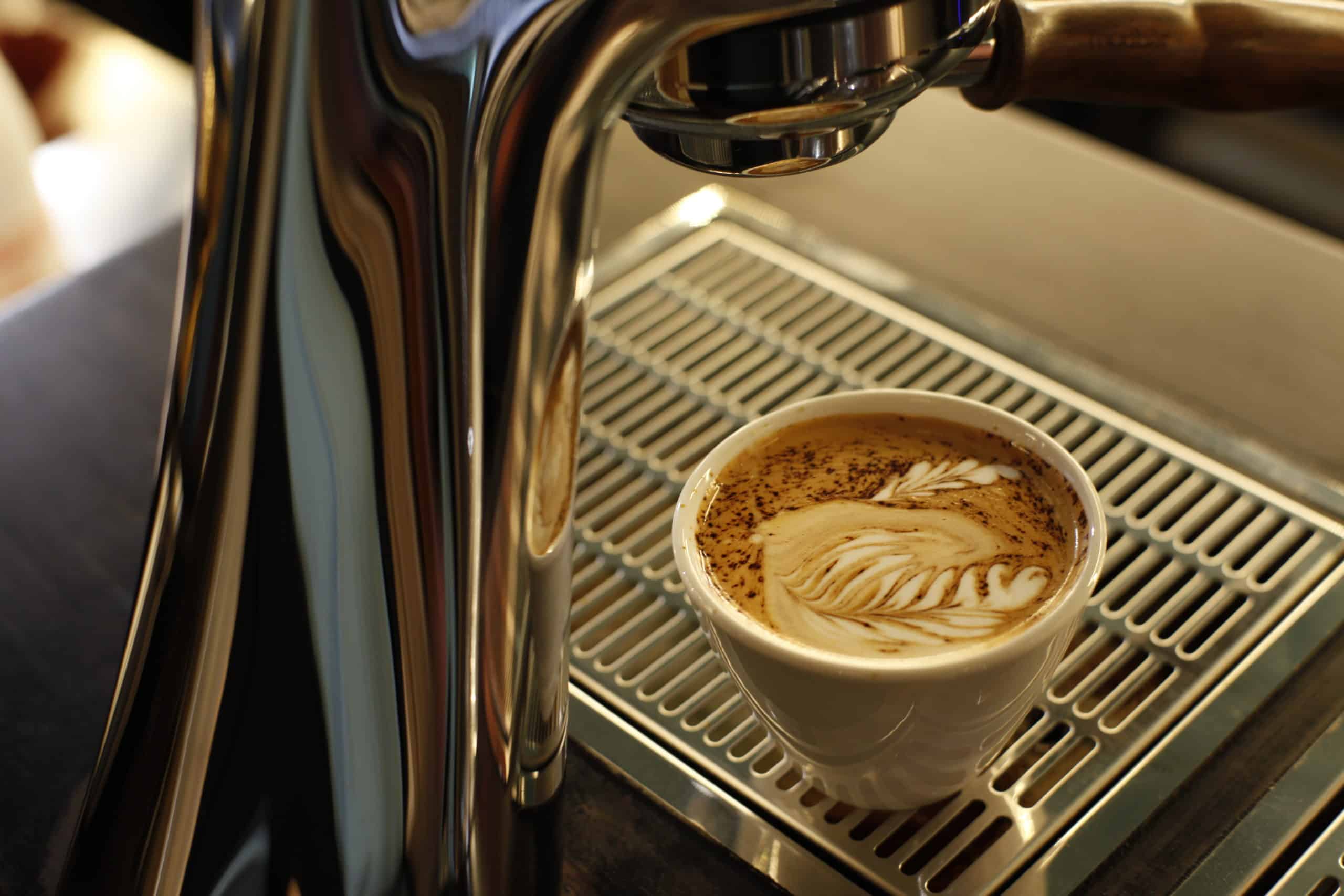 Atelier Café : de la torréfaction des grains à la dégustation