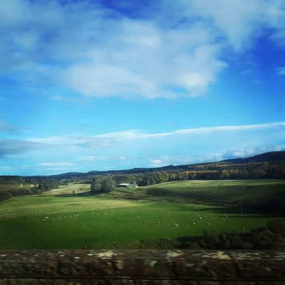 received_191182071765409