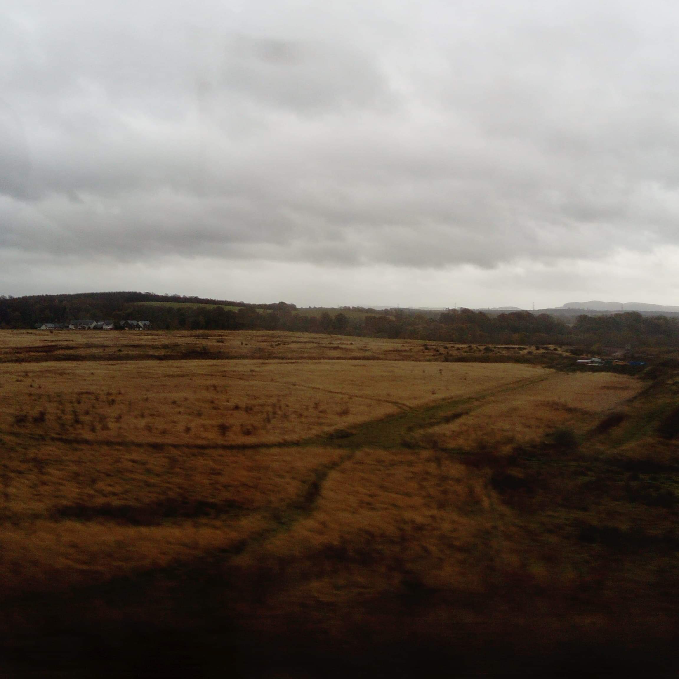 received_2192565620955718