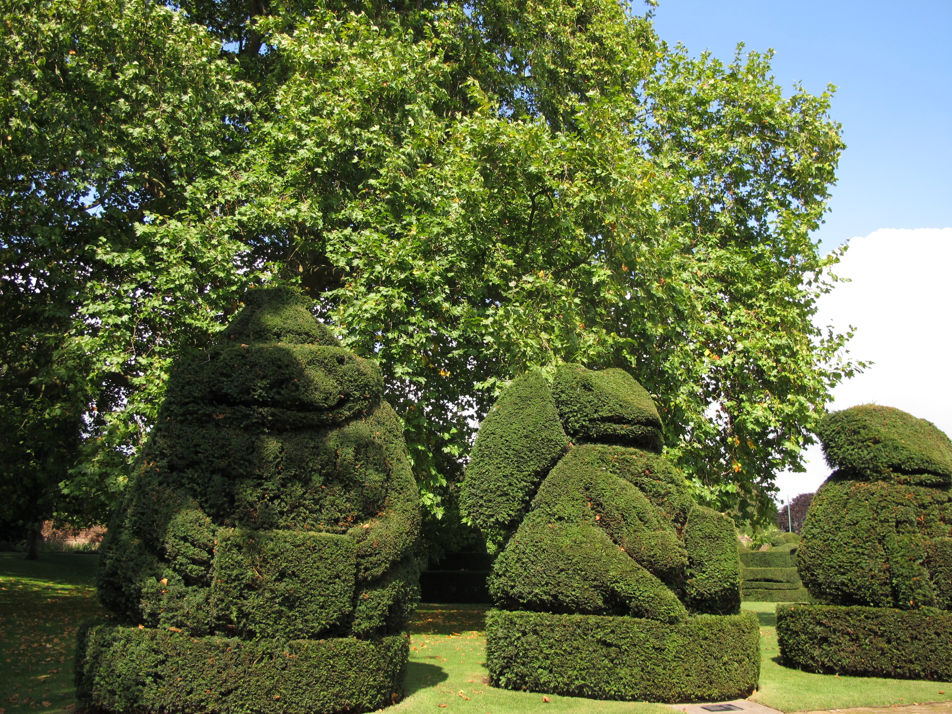 5_HallPlace (1)