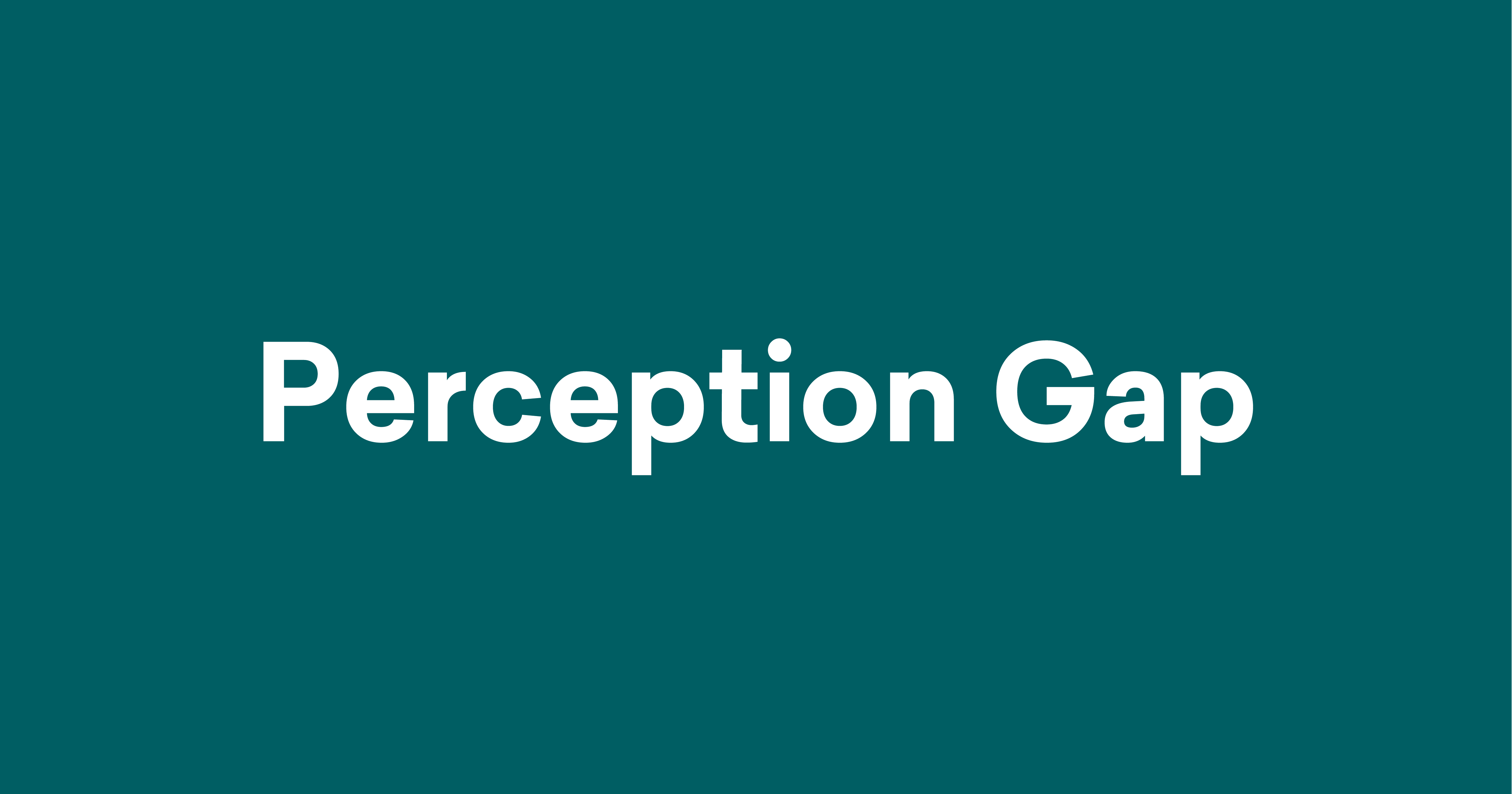 The Perception Gap Quiz - Premium Minimal Picture Gallery - 4K
