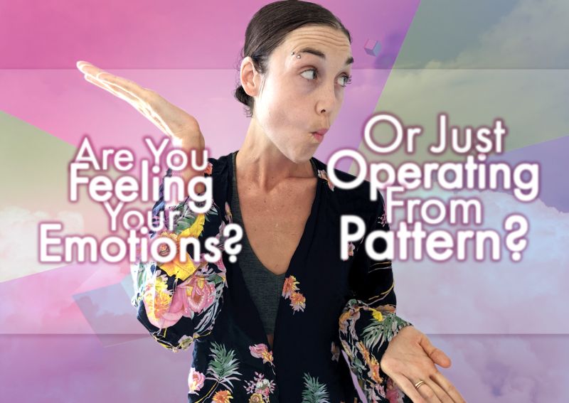 Offerings Perception Trainers - Beautiful Minimal Design - HD