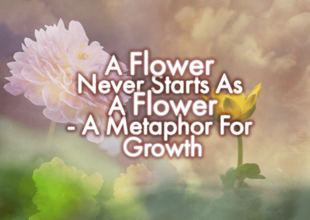 A flower never starts as a flower