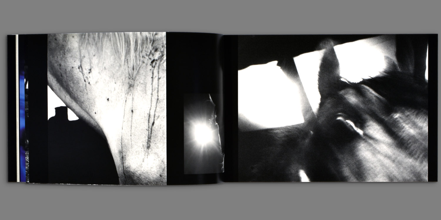 Horse Is Good – Perceval Press