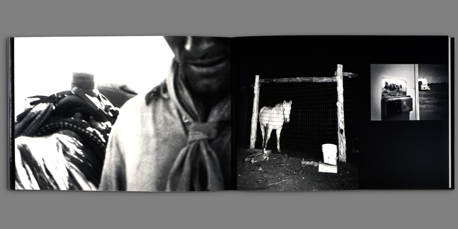 Horse Is Good – Perceval Press