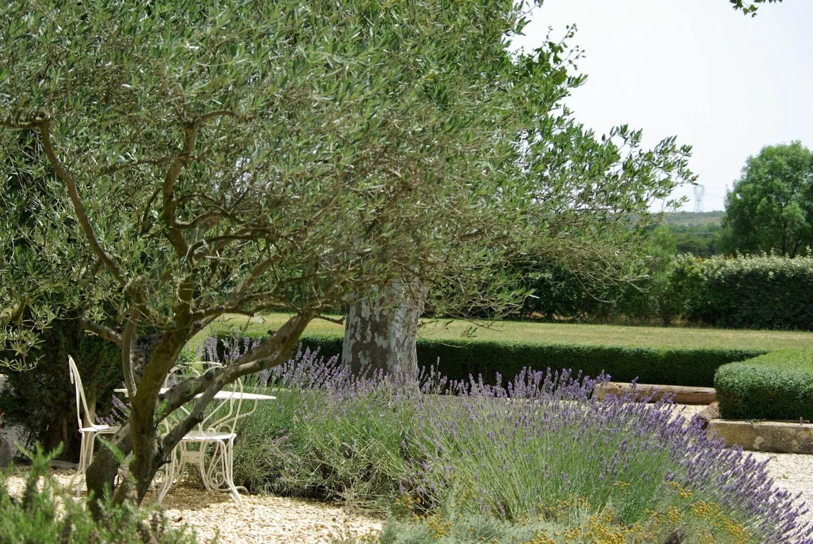 No Vuelvas Mas Single By Fer Angell Spotify