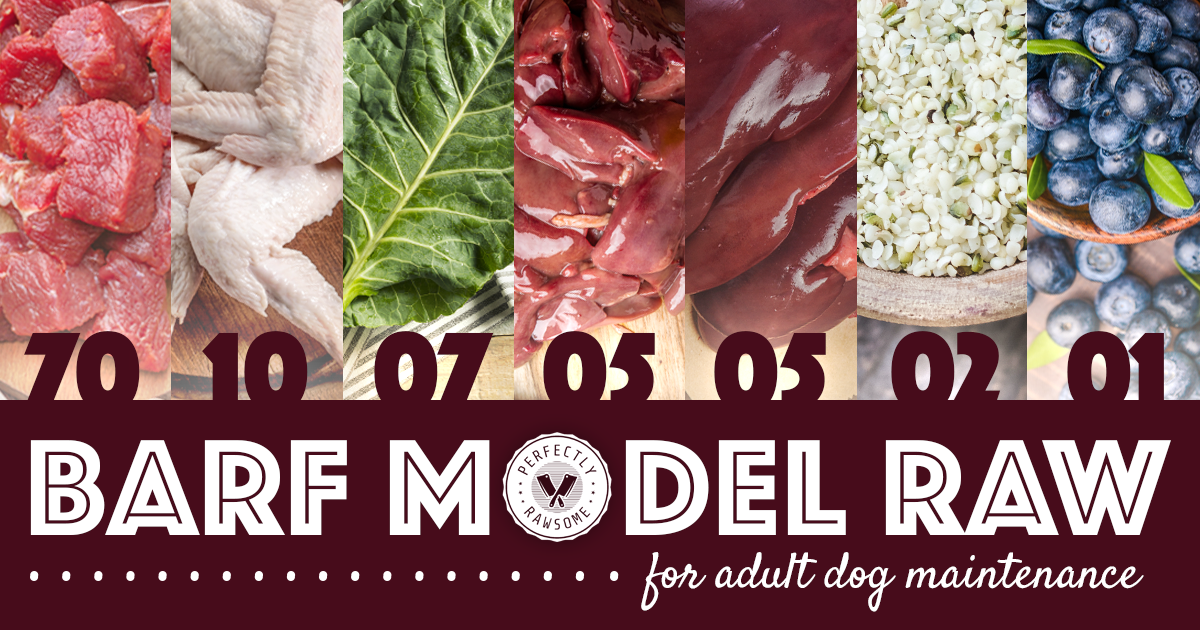 biologically appropriate raw food barf for adult dogs raw diet types