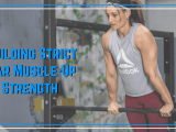 Strict Bar Muscle Up Progression Performance Plus Programming