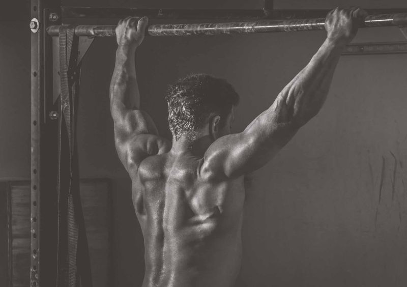 Gymnastics Booster Plan Performance Plus Programming - High Resolution City Illustrations for Desktop