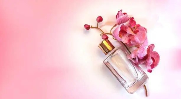 Perfumes for Men & Women