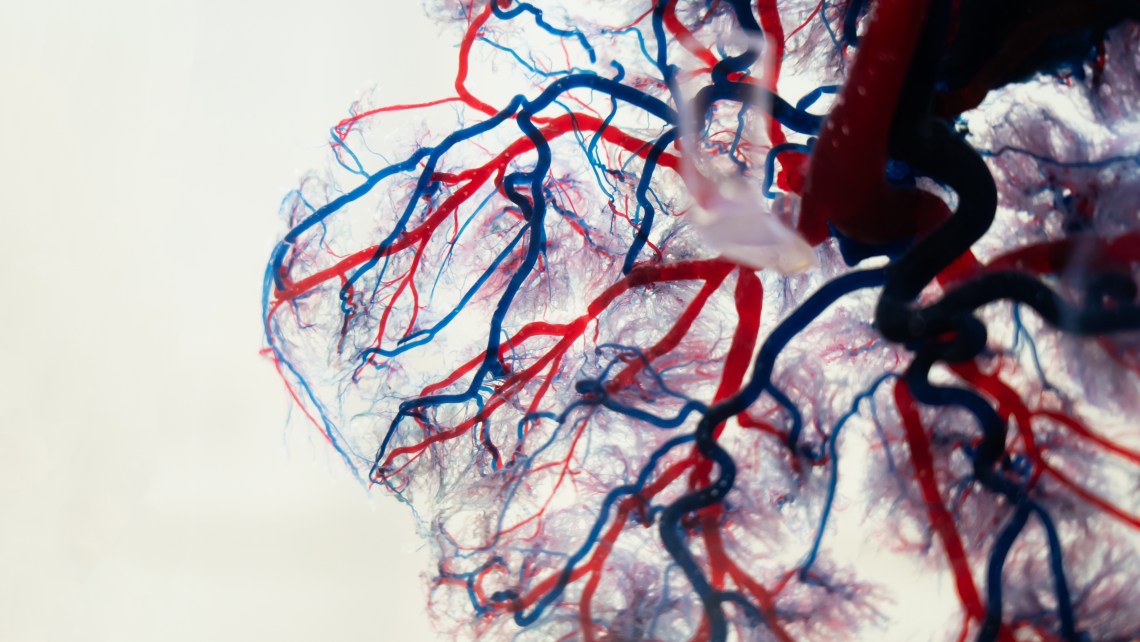 Capillary,Background,,Blood,Vessel,,Is,A,Medical,Procedure,Used,To