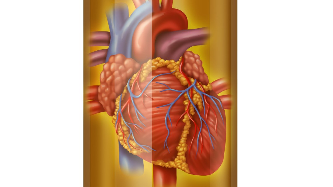 Heart,Drugs,And,Blood,Medicine,To,Treat,The,Human,Organ
