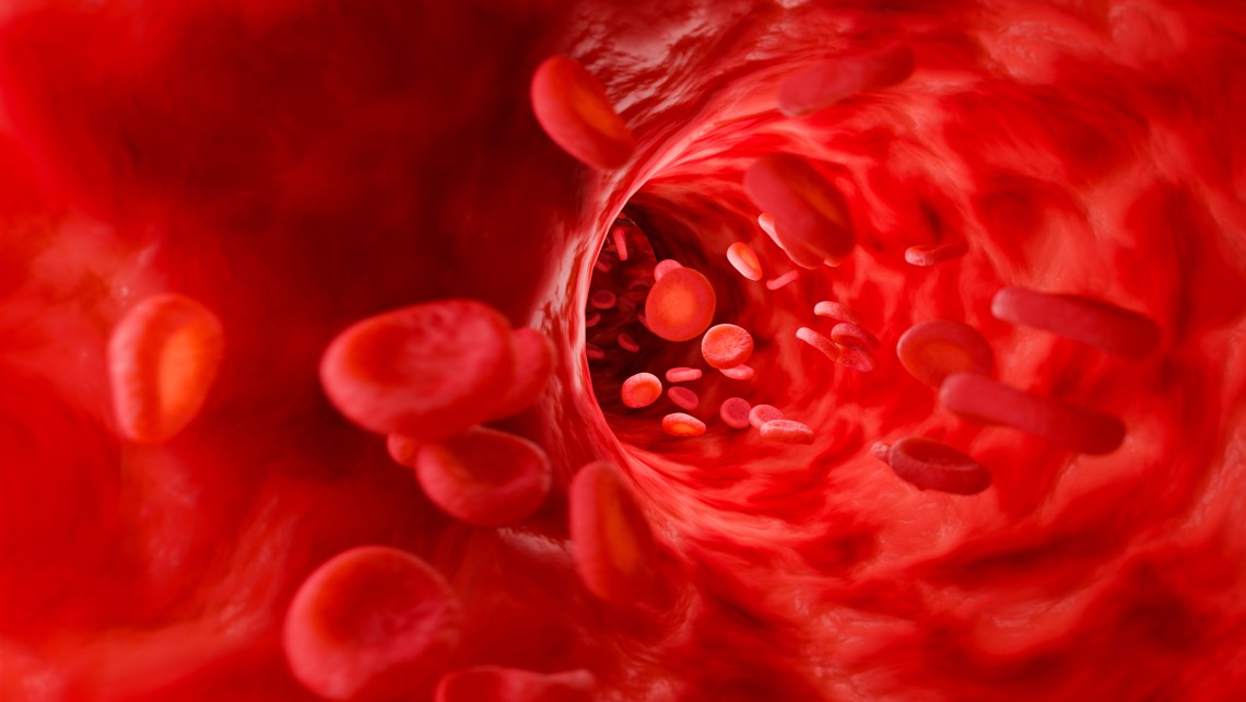 Red,Blood,Cells,In,Artery.,3d,Rendering,Illustration.