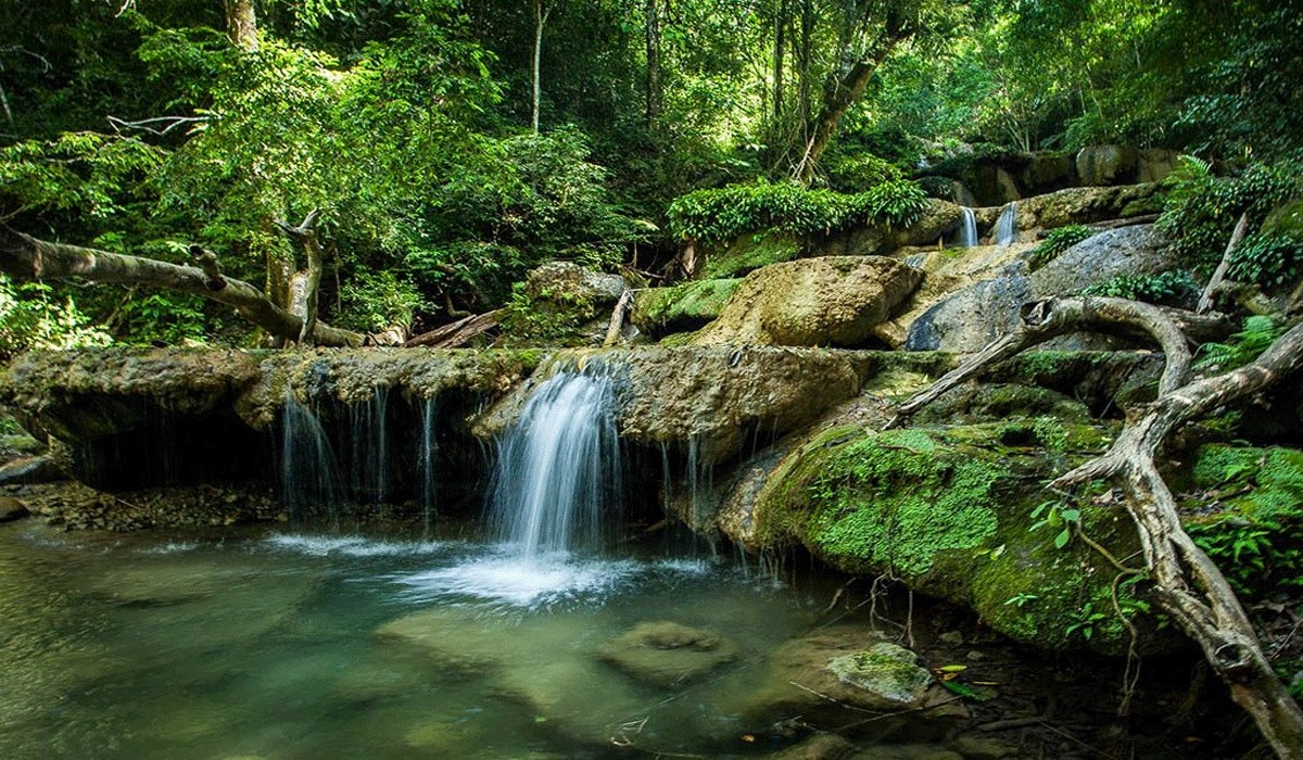Air Terjun Peucari: Surga Tersembunyi Di Tengah Rimbunnya Hutan Aceh Besar