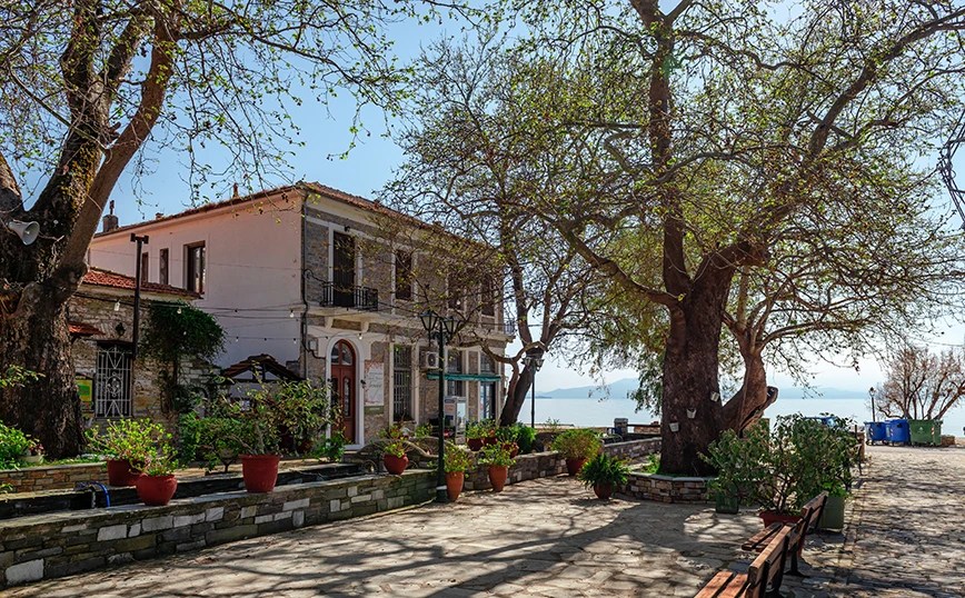 Quiet seaside village scene with a stone-paved square, potted plants, and a white house by the water in the background.