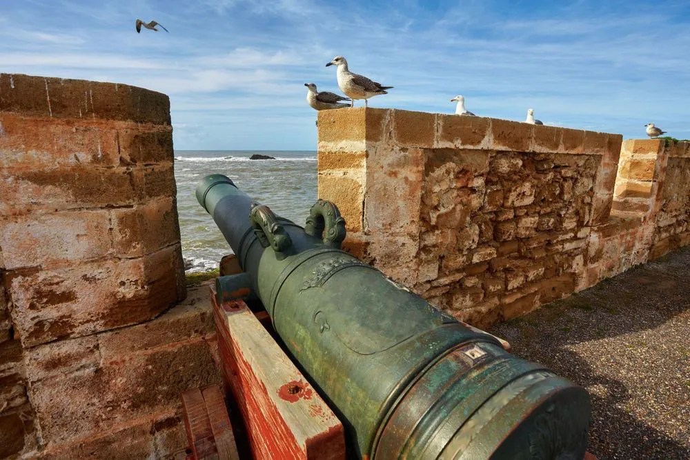 Green, antique cannon mounted on a wooden carriage sits along a weathered brick sea wall, with seagulls perched and flying nearby over a bright coastal scene.