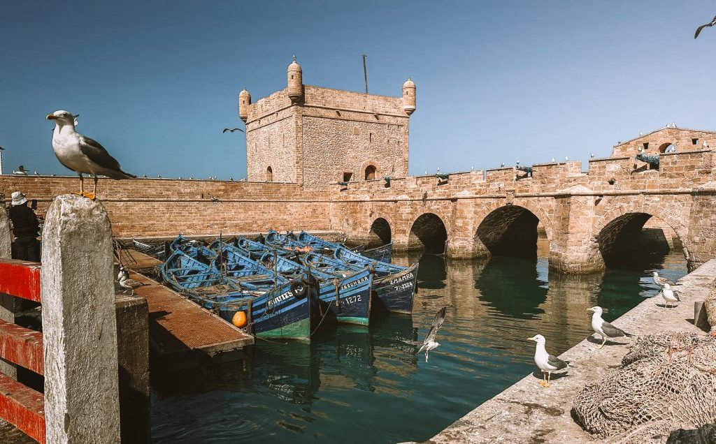 Seaside harbor with a stone arched bridge and a row of blue boats tied to a dock, seagulls perched along the quay under a clear blue sky.