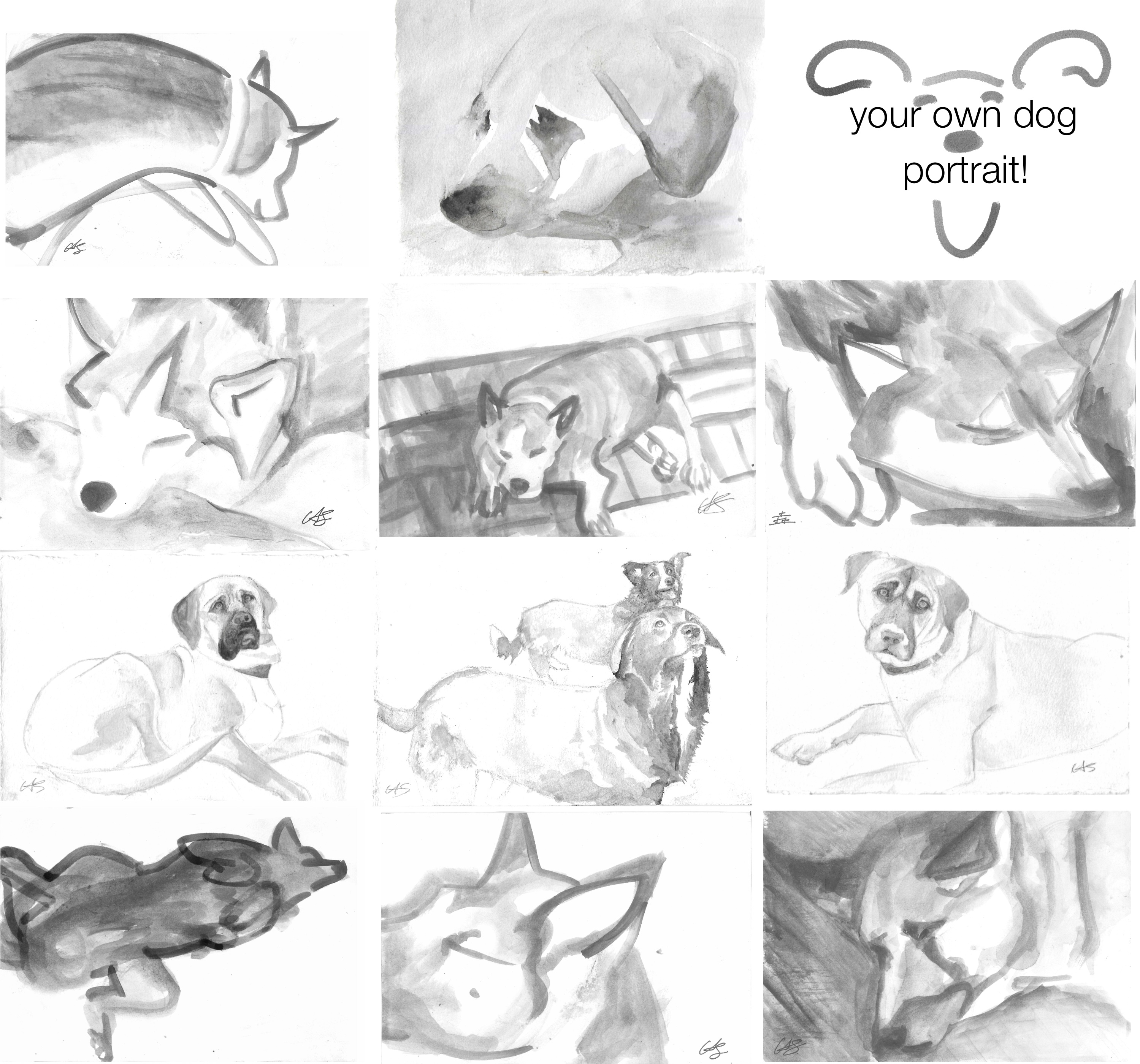 Doggy Aura Portraits