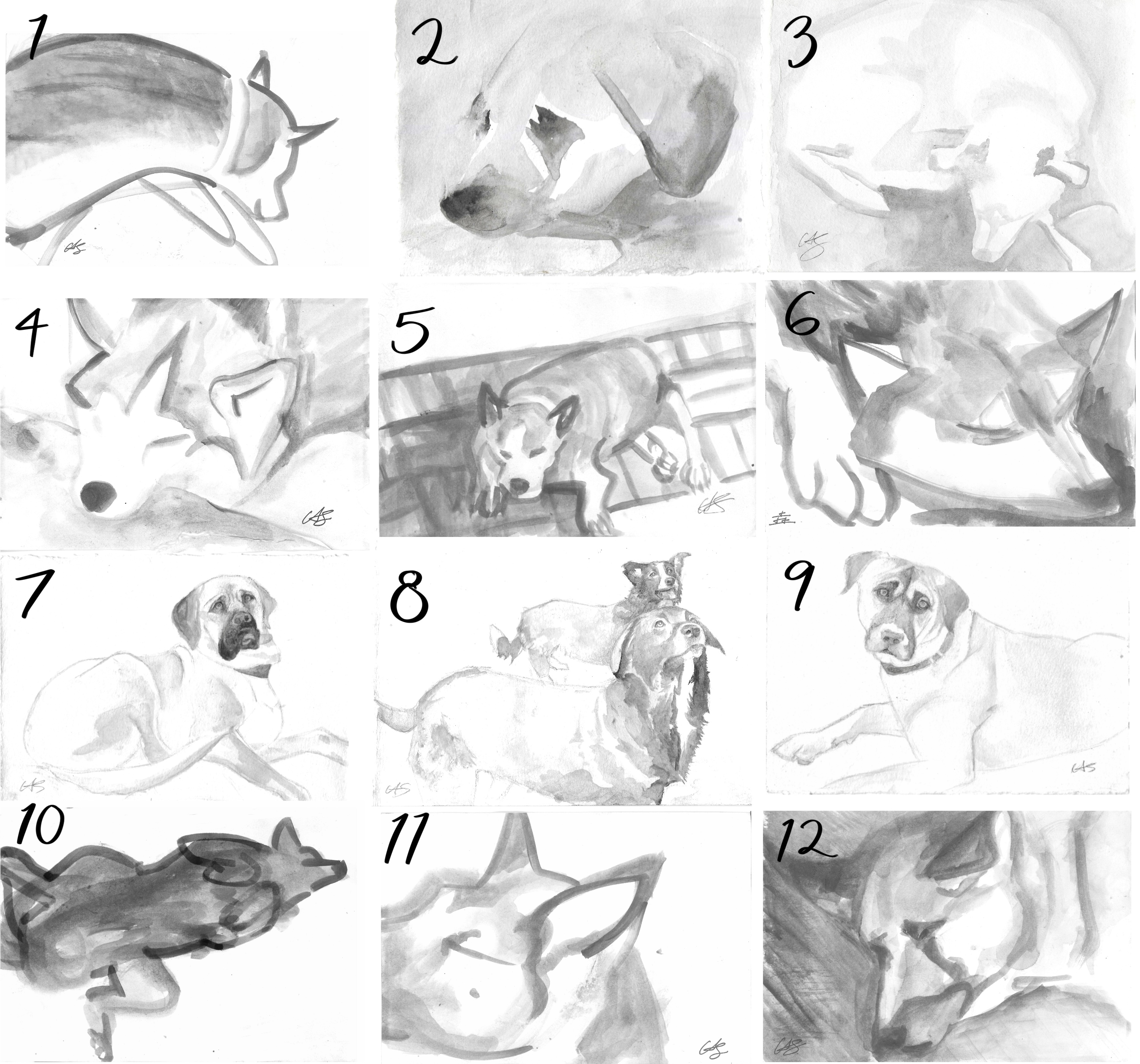 Doggy Portrait Prints