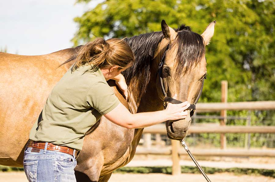 Spinal Manipulation/Chiropractic