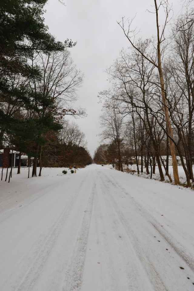 A tranquil snowy road in Saugatuck, MI surrounded by winter trees, capturing a serene winter atmosphere.