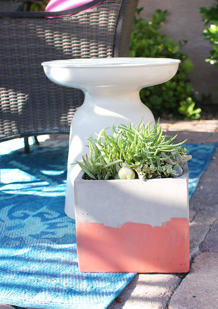 DIY Stained Concrete Planter Persia Lou