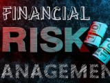 Financial Risk Management Means Examples How It Works Personal E