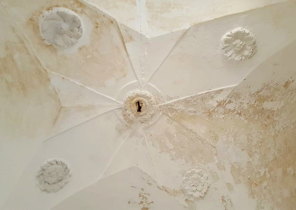 ceiling with flowers 38,000